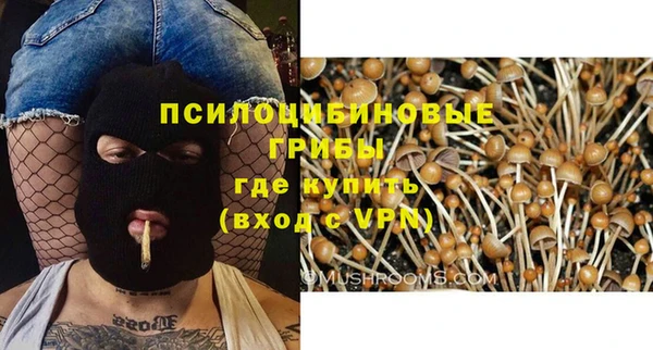 шишки Абдулино