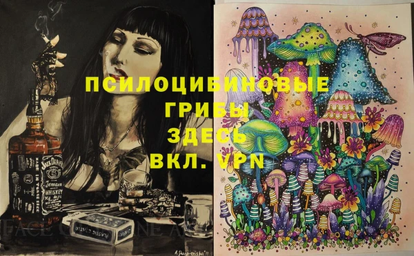 шишки Абдулино