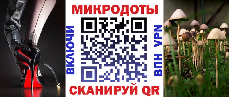 Псилоцибиновые грибы прущие грибы  Зеленогорск 