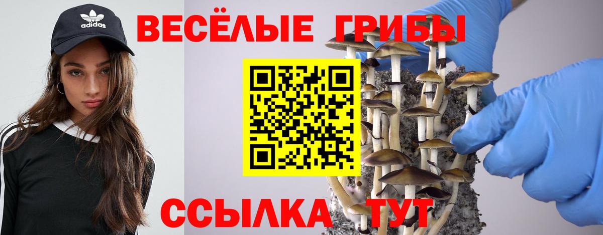 Зеленогорск  Галлюциногенные грибы Psilocybe  Вход с VPN  Галлюциногенные грибы MAGIC MUSHROOMS 